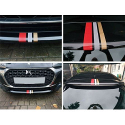 DS3 DS Performance Line Spoiler AUFKLEBER (Kompatibles Produkt)