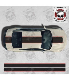 Dodge Charger STRIPES Stickers (Compatible Product)