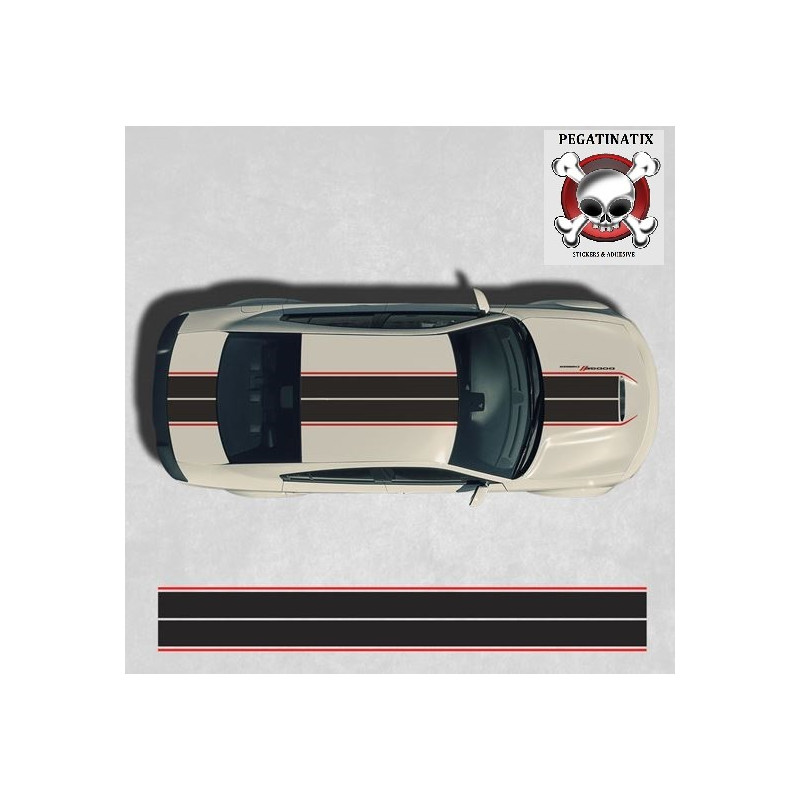 Dodge Charger STRIPES Stickers (Compatible Product)