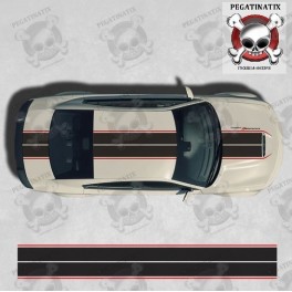 Dodge Charger STRIPES Stickers (Compatible Product)