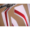 Honda CRF 1000L AFRICA TWIN 2019 ADHESIVOS (Producto compatible)