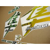 Decals SUZUKI HAYABUSA 1999-2007 CUSTOM NEO CHROME (Compatible Product)