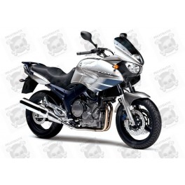 YAMAHA TDM 900 YEAR 2006-2008 STICKERS (Compatible Product)