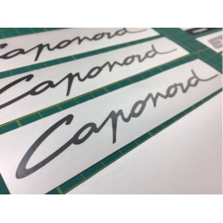 Aprilia Caponord ETV 1000 ADESIVI (Prodotto compatibile)