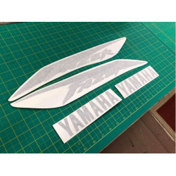 Yamaha Yamaha Fazer FZS 600 YEAR 2002-2003 Adhesivo (Producto compatible)