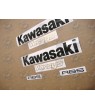 STICKERS KAWASAKI VERSYS 650 YEAR 2014 green (Compatible Product)