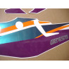YAMAHA FZR 600 1994 WHITE/GREEN/PURPLE AUFKLEBER (Kompatibles Produkt)