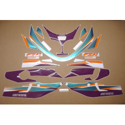 YAMAHA FZR 600 1994 WHITE/GREEN/PURPLE ADHESIVOS (Producto compatible)