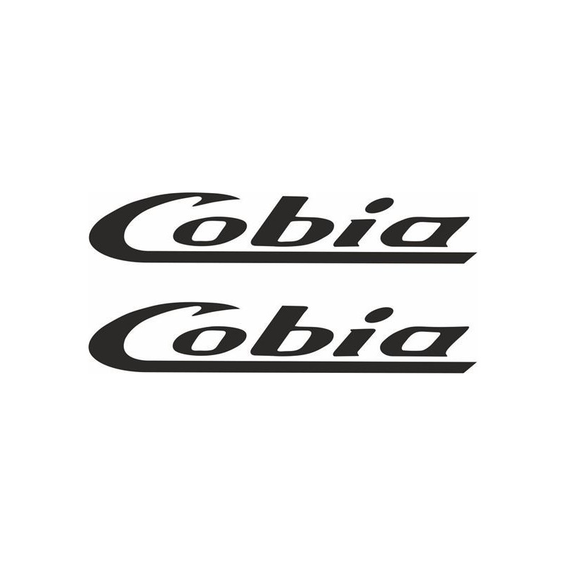 Cobia Boat ADESIVI  (Prodotto compatibile)