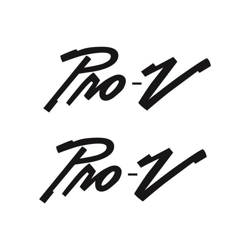 Lund Pro-V Boat ADESIVI  (Prodotto compatibile)