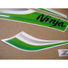 KAWASAKI ZX-6R YEAR 2010 green adesivi (Prodotto compatibile)