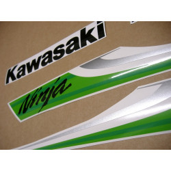 KAWASAKI ZX-6R YEAR 2010 green adesivos (Produto compatível)