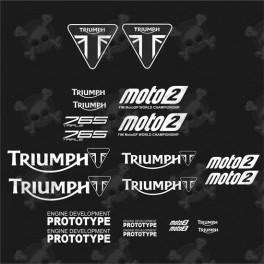 Triumph 765 Triple Moto2 Moto GP STICKERS (Compatible Product)
