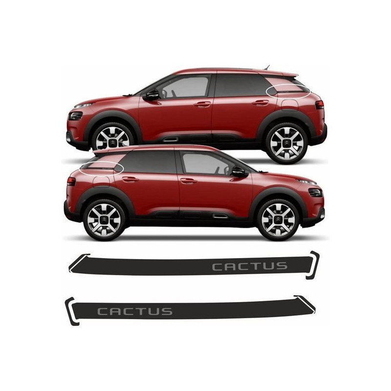 C4 Cactus side Quarter Stripes aufkleber (Kompatibles Produkt)