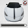 lamborghini Huracan side stripes AUTOCOLLANT (Produit compatible)