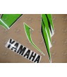 YAMAHA YZF-R6 2006-2007 CUSTOM LIME GREEN DECALS (Compatible Product)