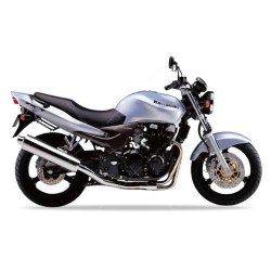 AUTOCOLLANT KAWASAKI ZR-7 SILVER YEAR 1999 (Produit compatible)