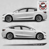 Tesla Model 3 side Stripes STICKER (Compatible Product)