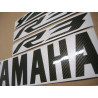 YAMAHA YZF-R3 CUSTOM CARBON FIBER ADESIVI (Prodotto compatibile)
