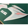 SUZUKI GSX 600F YEAR 2008 Decals