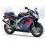 Yamaha FZR 600 1995 GREEN/BLUE/PURPLE STICKERS (Compatible Product)