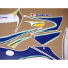 Suzuki GSX-R 600 YEAR 2000 CORONA ADESIVI (Prodotto compatibile)
