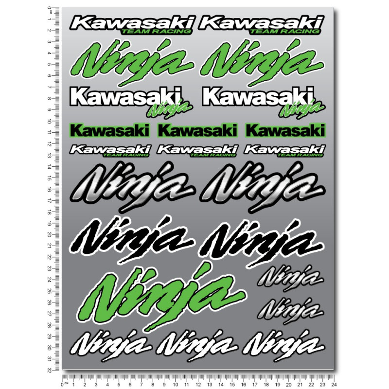 Kawasaki Ninja Large Decal set 24x32 cm 22 stickers Laminated