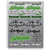 Kawasaki Ninja Large Decal set 24x32 cm 22 stickers Laminated