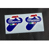 Termignoni exhaust decals stickers 2 pcs HEAT PROOF!