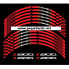 Kawasaki Z800 wheel stickers decals rim stripes 12 pcs. Laminated