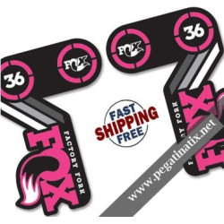 DECALS STICKERSFOX 36 HERITAGE 40TH ANNIVERSARY PINK