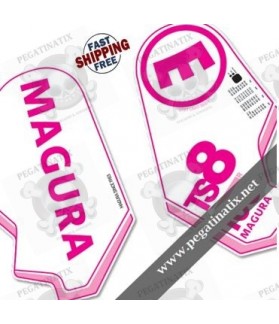 DECALS STICKER FORK MAGURA TS8 (Compatible Product)