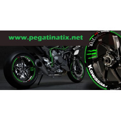 STICKER DECALS KAWASAKI MONSTER ENERGY