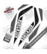 DECALS ROCKSHOX RS-1 STICKERS KIT FORKS