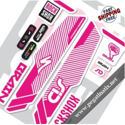 DECALS ROCKSHOX SID BRAIN 2014 STICKERS KIT WHITE FORKS