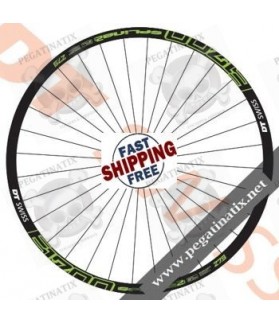 STICKERS WHEEL RIMS DT SWISS E1700 SPLINE TWO STICKERS KIT (Compatible Product)