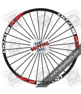 STICKERS WHEEL RIMS DT SWISS M1700 (Compatible Product)
