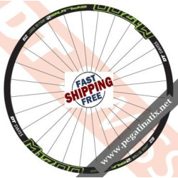 STICKERS WEEL DT SWISS M1700 2016 DECALS KIT