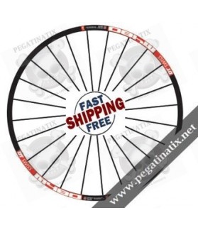 STICKERS WHEEL RIMS DT SWISS M480 STICKERS KIT (Compatible Product)