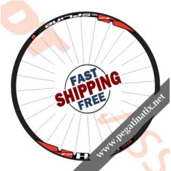 STICKERS WHEEL RIMS DT SWISS X 1900 DECALS KIT