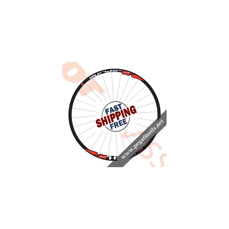 STICKERS WHEEL RIMS DT SWISS X 1900 DECALS KIT