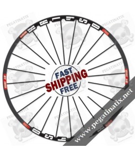 STICKERS WHEEL DT SWISS XR 1450 (Compatible Product)