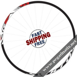 STICKERS WHEEL DT SWISS XR 2.5