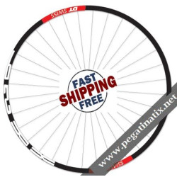 STICKERS WHEEL RIMS DT SWISS XR 29