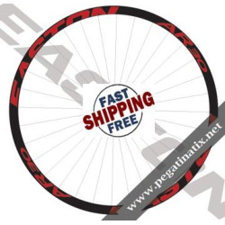 STICKERS WHEEL EASTON AR 30 DECALS KITS