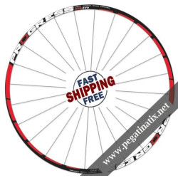 STICKERS WHEEL RIMS PROGRESS XCD-EVO B