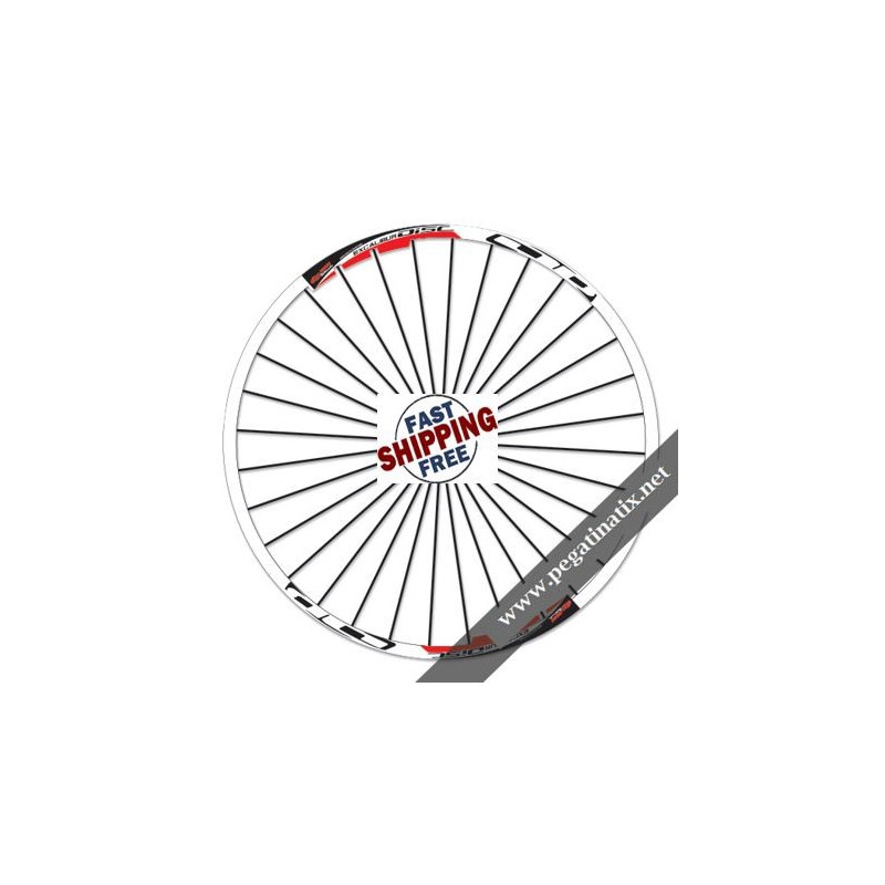 STICKERS WHEEL RIMS RODI EXCALIBUR DISC