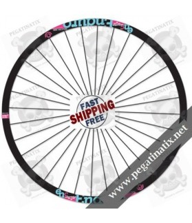 STICKERS WHEEL INDUSTRYNINE ENDURO BLUE PINK (Compatible Product)