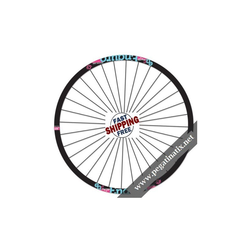 STICKERS WHEEL INDUSTRYNINE ENDURO BLUE PINK