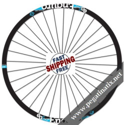 STICKERS WHEEL INDUSTRYNINE ENDURO CARBON